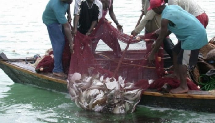 The closed season is aimed at allowing the depleting fish stock to replenish
