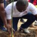 Alexander Afenyo-Markin planting