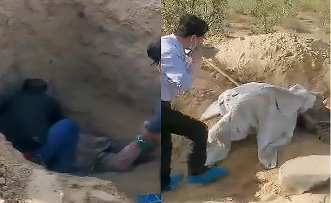 Paralyzed woman pulled from grave alive