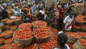 File photo of tomato sellers