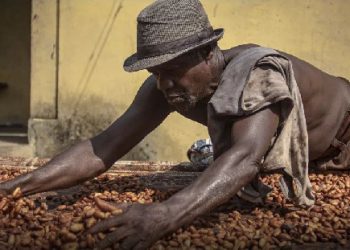 The production of cocoa beans in 2022/23 is envisaged to overtake the level recorded during 2021/22