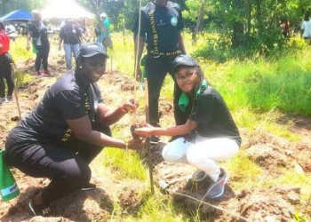 Mrs Owusu-Ankomah(left) and Madam Muzito planting a tree during the exercise