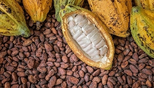 Ghana and Ivory Coast account for almost 70% of global cocoa supplies