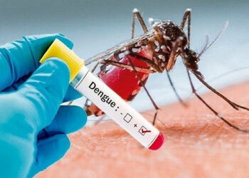 Blood test shows an affected case of dengue fever